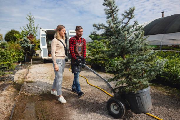 Best Stump Grinding and Removal  in Fruitport, MI